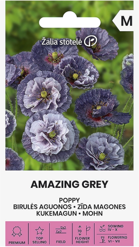 Mak polny Amazing Grey Blue o szarych kwiatostanach nasiona do siewu Žalia stotelė sklep rajogrodnika